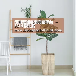 产品名称六(图1)