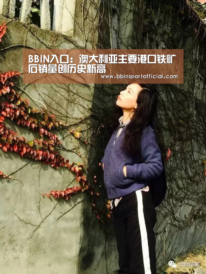 BBIN入口:澳大利亚主要港口铁矿石销量创历史新高(图3) BBIN入口