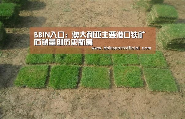 BBIN入口:澳大利亚主要港口铁矿石销量创历史新高(图4) BBIN棋牌
