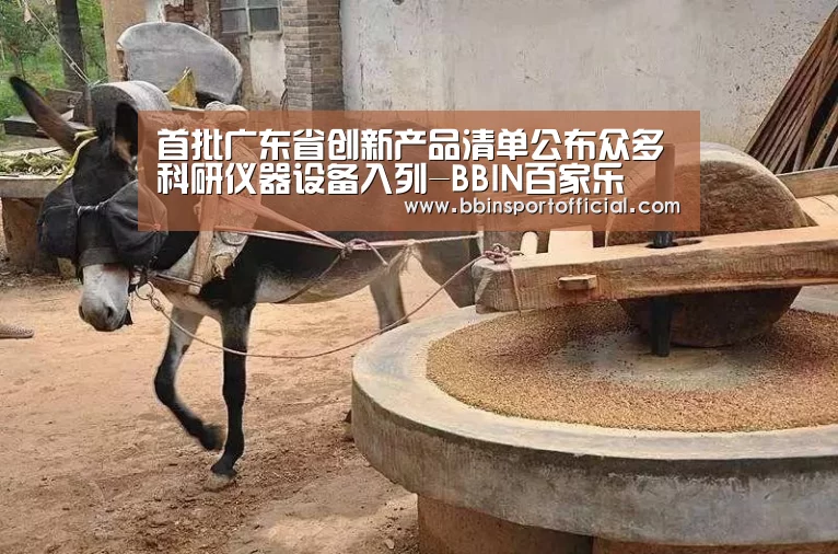 BBIN百家乐