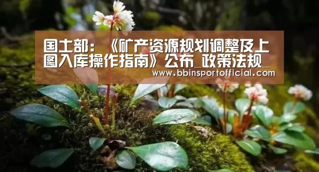 国土部:《矿产资源规划调整及上图入库操作指南》公布_政策法规_新闻_矿道网【BBIN棋牌】(图1) BBIN入口