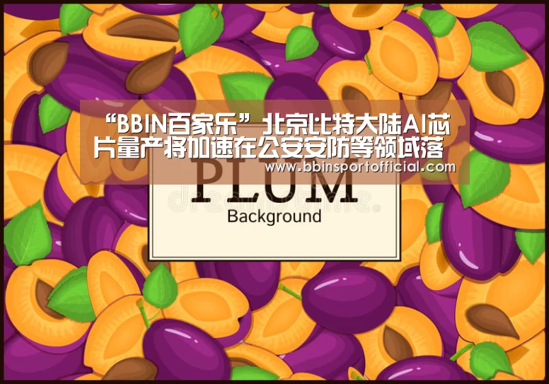 “BBIN百家乐”北京比特大陆AI芯片量产将加速在公安安防等领域落地(图3) BBIN电竞