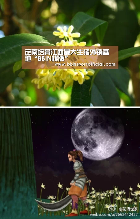 定南培育江西最大生猪外销基地“BBIN棋牌”(图3) BBIN电竞
